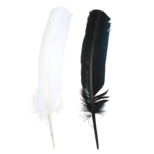 12 Packs: 20 ct. (240 total) Black & White Quill Feathers by Creatology™